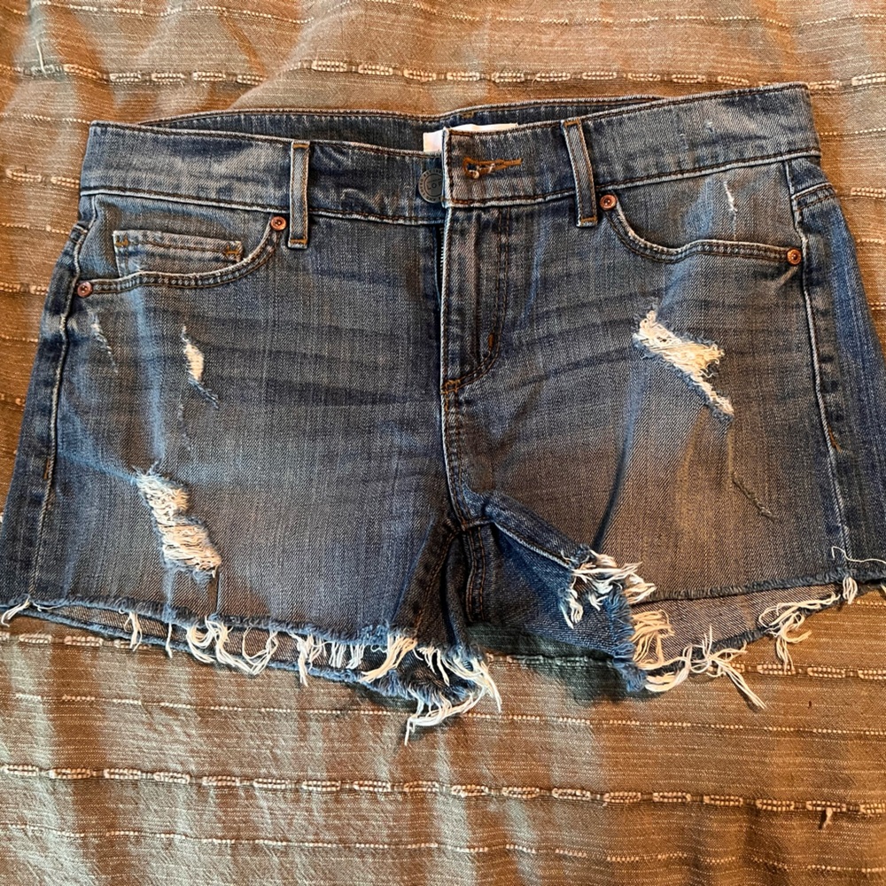 Loft Distressed Denim Shorts